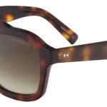 Tortoise w/ Smoke Gradient Lens