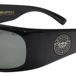 Shiny Black w/ Smoke Polarized Lens