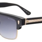 Shiny Black w/ Smoke Gradient Lens