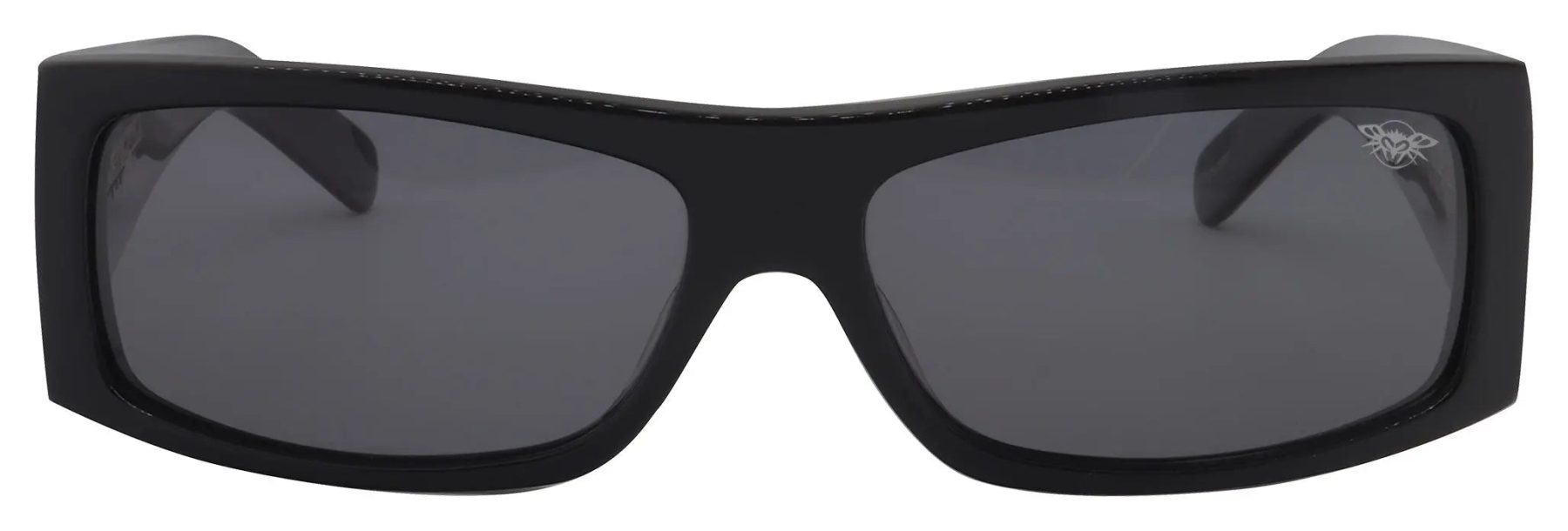 Fly Detector 2 Polarized - BlackFlys