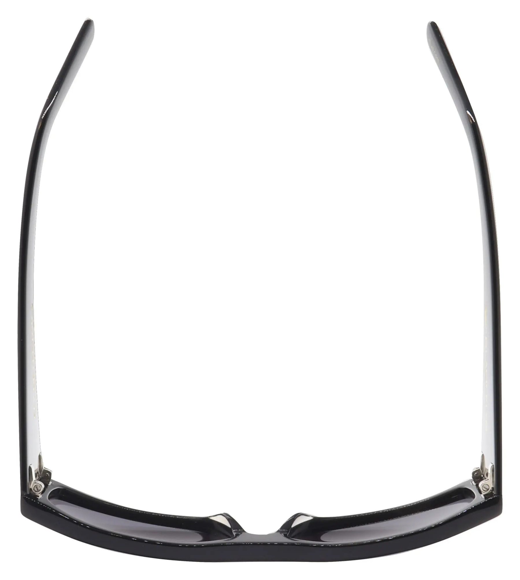 Fly Detector 2 Polarized - BlackFlys