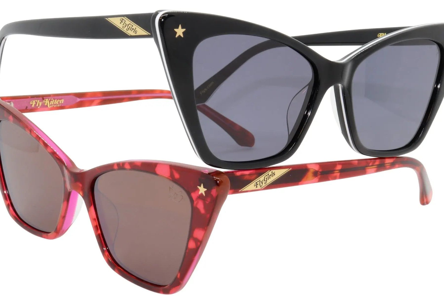 Fly Kitten - BlackFlys