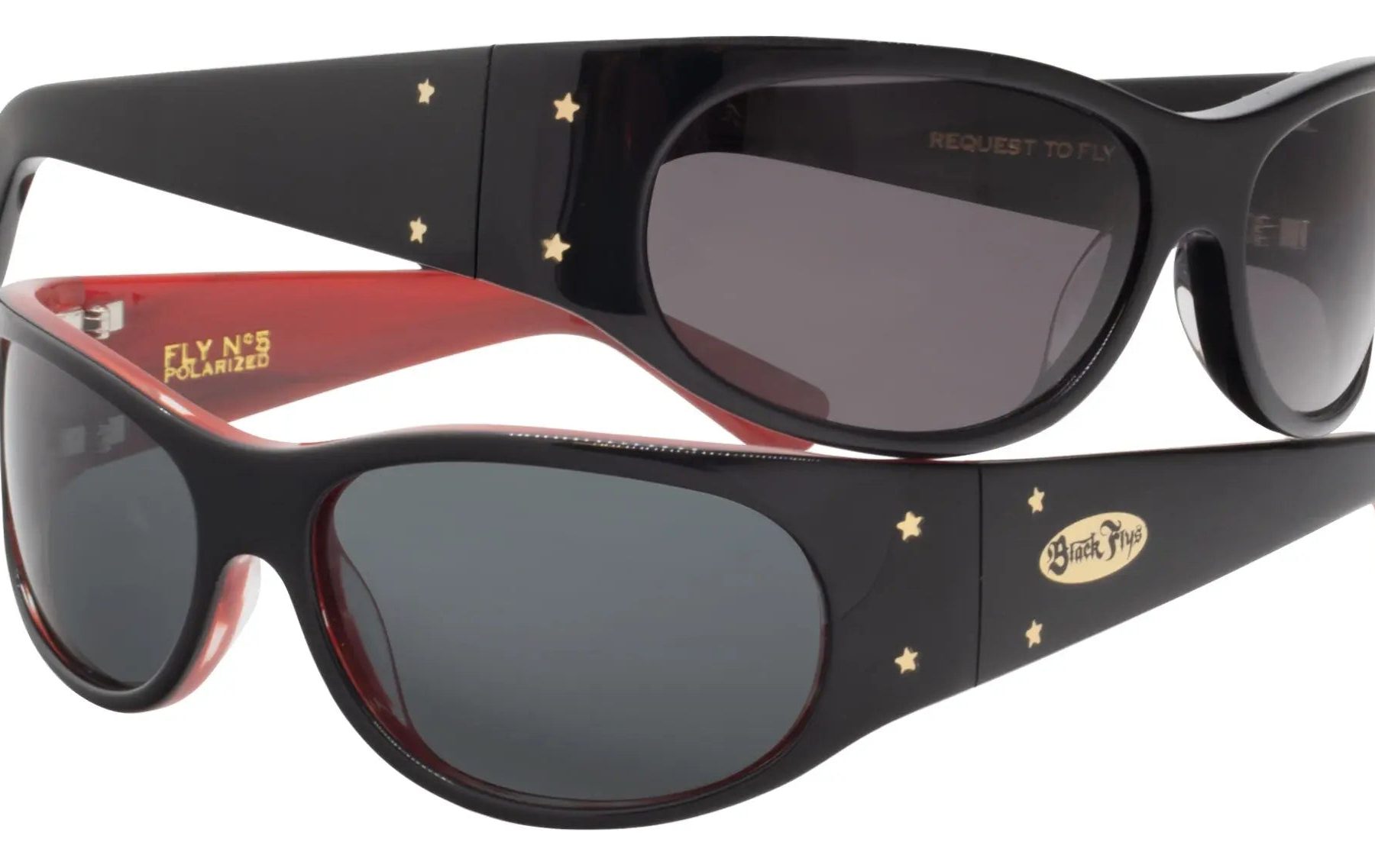 Fly No. 5 - BlackFlys