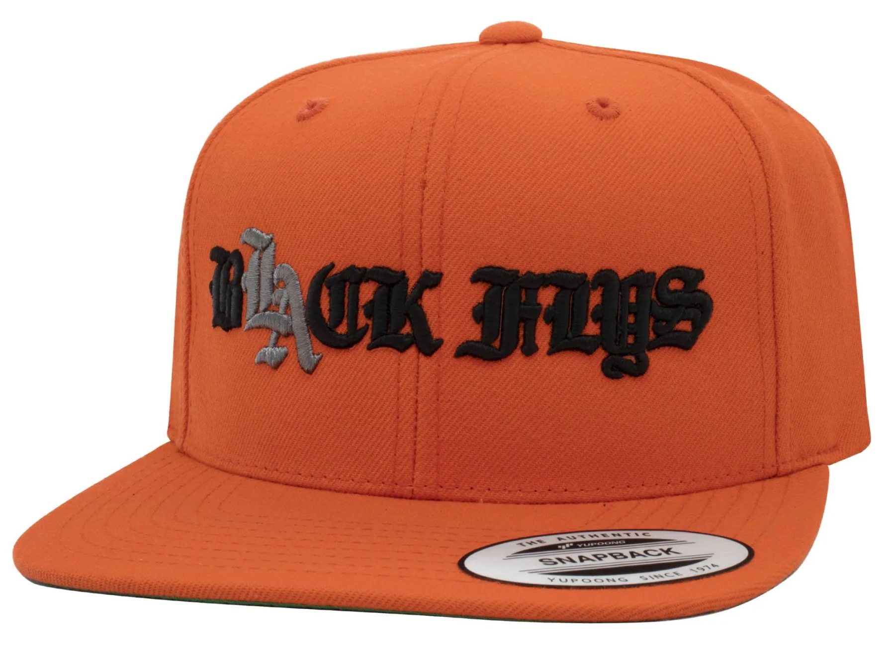 Odelay Snapback - BlackFlys